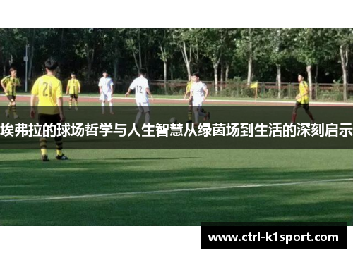 埃弗拉的球场哲学与人生智慧从绿茵场到生活的深刻启示