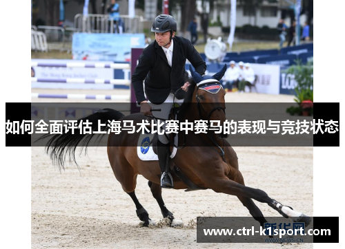 如何全面评估上海马术比赛中赛马的表现与竞技状态