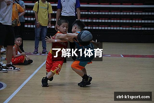 了解K1体育